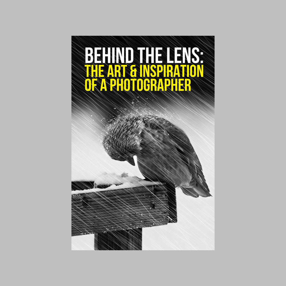 Arts & Photography